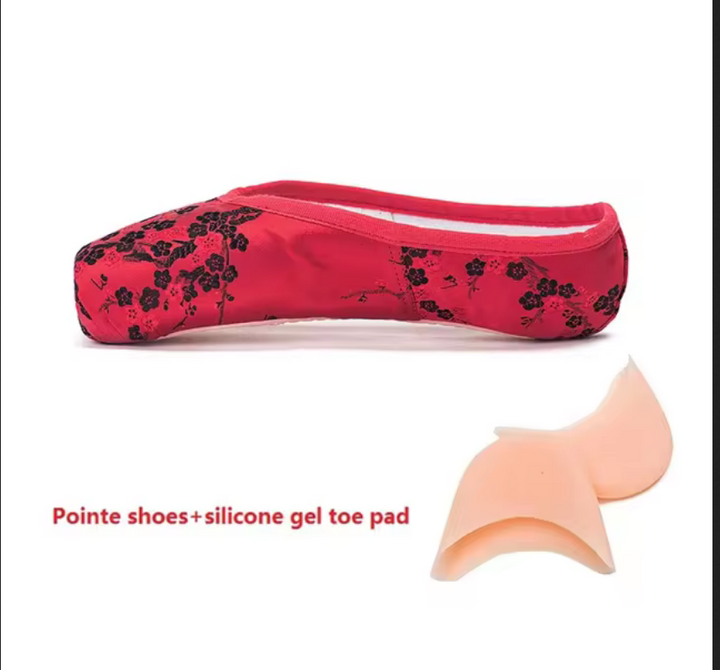 Chaussons Pointes Sansha avec broderies