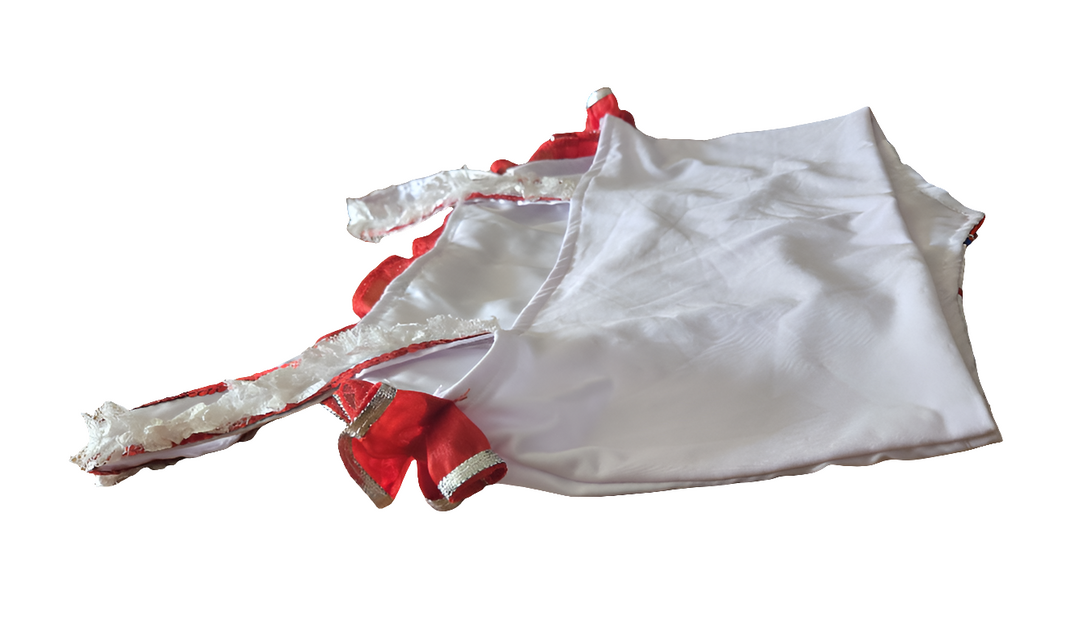 Ensemble Bustier Jupe FRENCH CANCAN sans coiffe