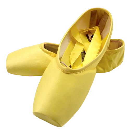 Chaussons Pointes en satin 9 couleurs au choix