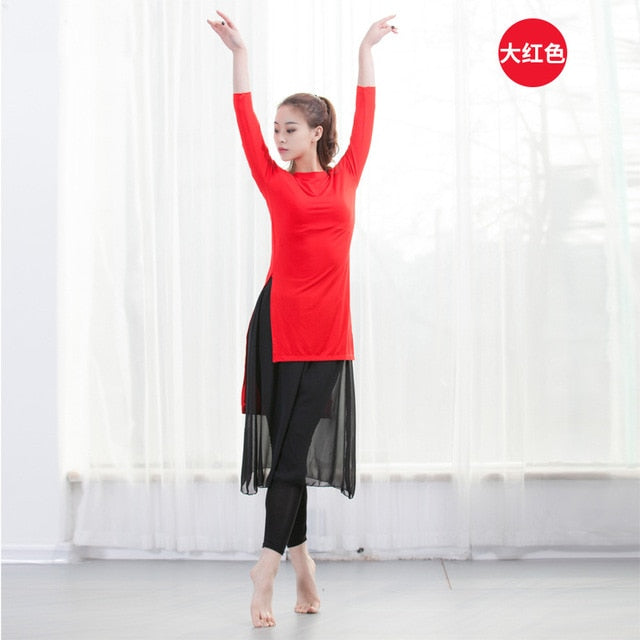 Top Haut Tunique manches longues pour adulte 12 coloris au choix - Dance Store