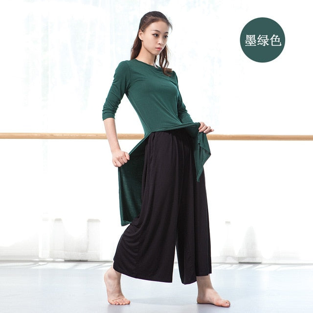 Top Haut Tunique manches longues pour adulte 12 coloris au choix - Dance Store