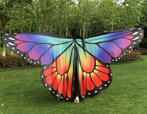Ailes d'Isis Papillon pour enfant & adulte 14 coloris au choix